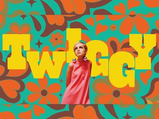 Twiggy