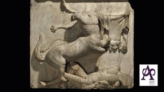 The Arts Society, WGC: The Elgin Marbles - A History of Meaning