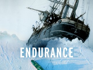 Endurance (2024)