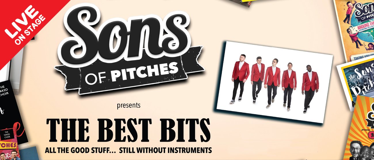 Sons of Pitches - The Best Bits