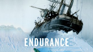 Endurance (2024)