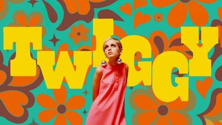 Twiggy