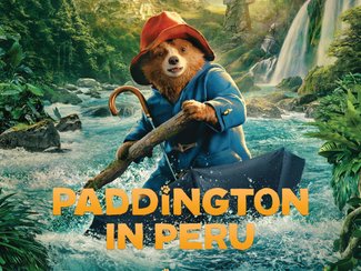 Paddington In Peru